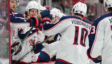 Дмитрий Воронков.