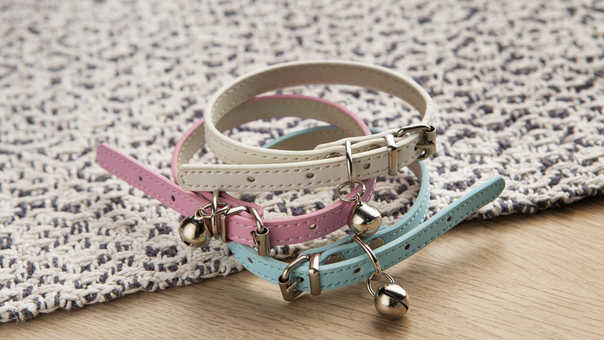 Психолог объяснила причину тренда на хоббидоггинг