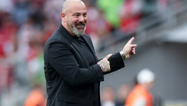 Деян Станкович возглавил «Црвену Звезду»