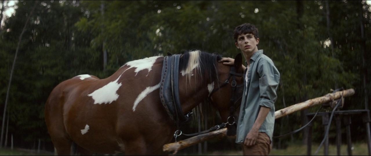 Кадр из фильма «Один и два», режиссер Эндрю Дроз Палермо, IFC Midnight