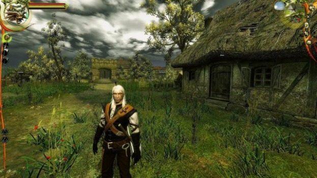 Графика в Ведьмаке 1.