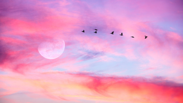 Лунный календарь на март 2026 года: как использовать энергию Луны в течение месяца