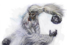 Найден новый след снежного человека?