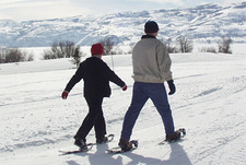 Cнегоступы &ndash; старое новое зимнее удовольствие