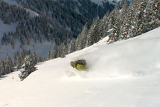 20 ноября нас ждет самая крупная премьера года