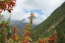 Как я открыла для себя горы