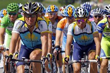 Естественный отбор