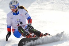 Сноуборд. Итоги предолимпийского сезона