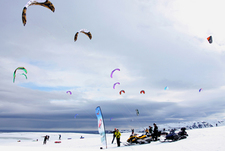 Кайтбординг по-арктически: человек в роли собаки