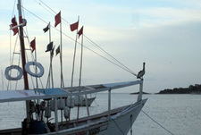 Дневники Маргариты. Часть 1