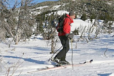 Николай Веселовский: хочу туда, где снег выше пояса!