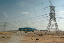 Зачем нужны газоны на барханах?