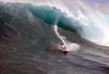 У "Челюстей" в плену