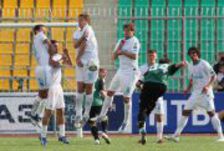 Еще раз о доморощенных