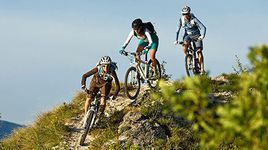 Чем лыжи отличаются от велосипеда?..