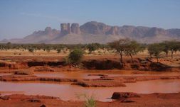 Из Швеции в Африку за сорок дней