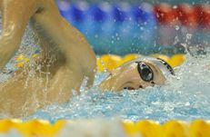 В Багдаде все спокойно