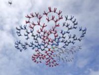 Рекорд России в классе "большие формации"