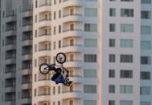 Щелчок хвоcтом на двух колесах