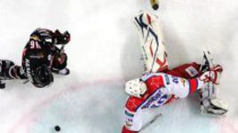 Авоська "ястребов"