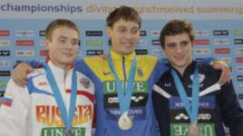 Голландский след