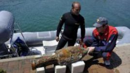 Глубокое погружение в историю
