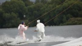 Плюшевые зайцы атакуют!