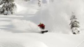 Что это? Узнаем в ноябре!