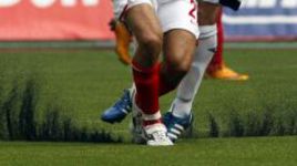 Искусственные поля:  наследие ледникового периода