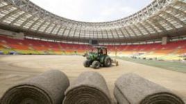 Газон седьмого поколения Хиддинку понравился