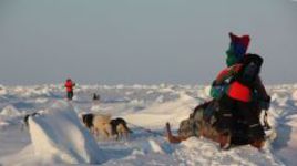 Непростой северный путь Федора КОНЮХОВА продожается.