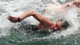 Евгений Дратцев: "Если бы еще не медузы…"