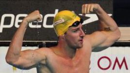 Дело национальной чести