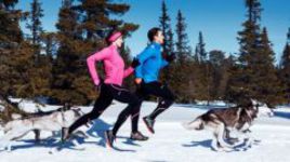 Новая коллекция одежды для бега от ASICS:  тепло и комфорт даже зимой