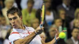 Польский вопрос