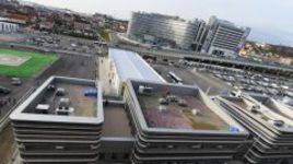 Сочинская трасса помогает Олимпиаде