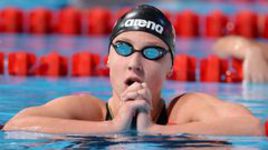 Нанкин или Берлин - вот в чем вопрос