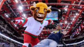 Зубр Волат привел в Минск праздник