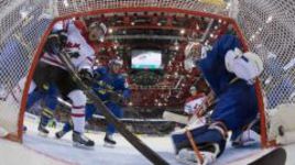 Синдром Быкова, вирус Билялетдинова