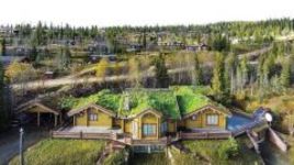 Миллион за перчатки Али и Листона.  Три миллиона долларов для семьи Шумахера