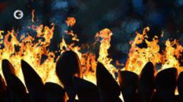 До встречи в Рио!