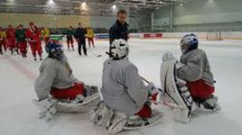 В Швецию без Ничушкина