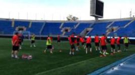 Словаки опробовали газон Петровского