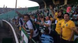 Бразильцы поют в честь Нигерии