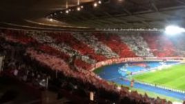 Австрийцы - на футбол как на праздник