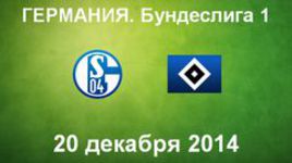 "Шальке-04" - "Гамбург"