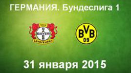 "Байер" - "Боруссия" Д