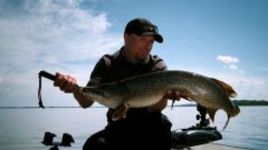 "СЭ" и PAL открывают новые горизонты!