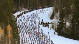 Задавим ли мы конкурентов массовостью?