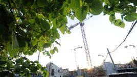 На стадионе "Динамо" готовы строить трибуны